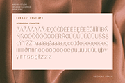 Delicate Elegance - Elegant Serif, a Serif Font by Masyafi Studio (Thumbnail 3 of 9)