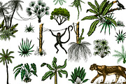 Tropical trees and plants. Jungle, a Decorative Illustration by Arthur Balitskiy (Thumbnail 1 of 4)