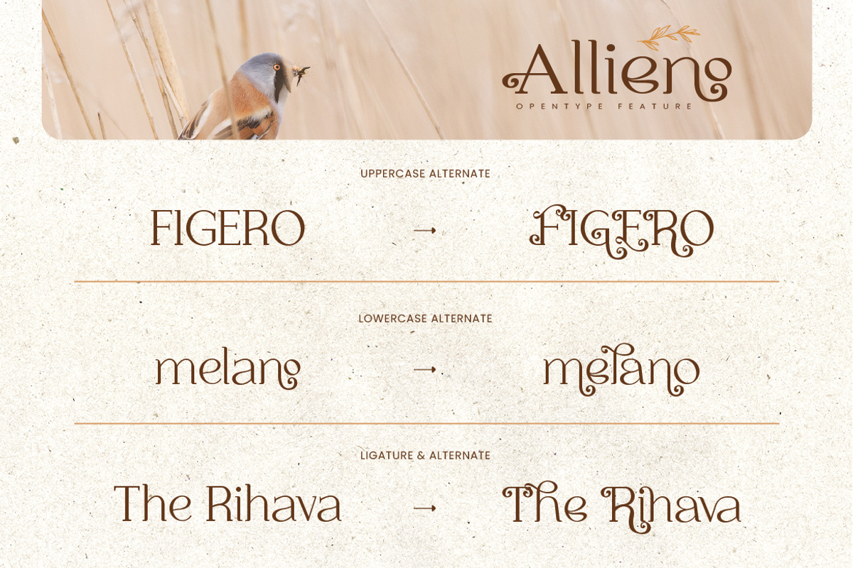 Allieno, a Serif Font by kerismaker (Photo 10 of 12)