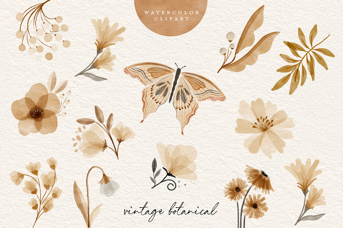 Watercolor Vintage Botanical Clipart, an Illustration by beatriceviyiwi (Photo 4 of 6)