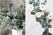 Eucalyptus Floral Mockup Bundle, a Social Media Template by LaPorte Images (Thumbnail 6 of 14)