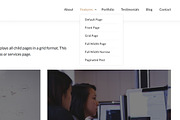 Designbiz WordPress Theme, a WordPress Template by Theme Junkie (Thumbnail 3 of 4)