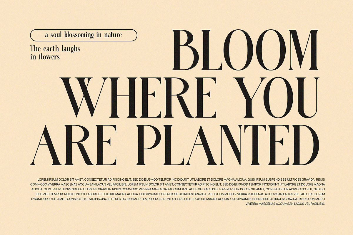 Kangen Modern Serif Font, a Serif Font by Perfectype (Photo 2 of 8)