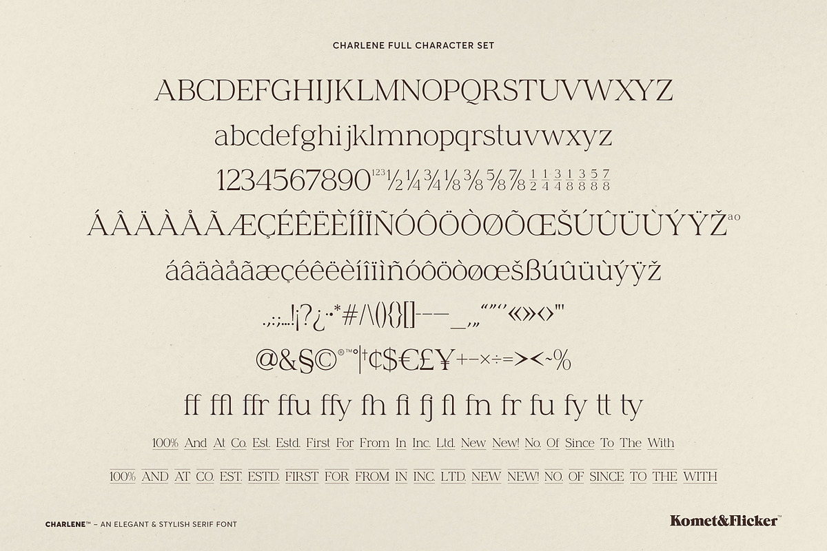 Charlene - An Elegant & Stylish Font, a Serif Font by Komet & Flicker (Photo 16 of 16)