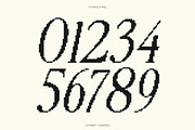 CS Ristela Pixel, a Serif Font by Craft Supply Co. (Thumbnail 2 of 8)