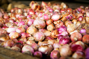 Fresh Garlic, a Food & Drink Photo by THP Creative