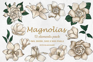 13 Magnolia PNG Clipart – Gouache