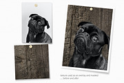 Neutral African Textures, a Texture Graphic by rileyBgraphics (Thumbnail 7 of 8)