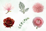 Blush Watercolor Floral Elements, an Illustration by Creative Art (Thumbnail 5 of 9)