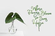 Sparkling, a Script Font by Design Dukkan (Thumbnail 3 of 8)