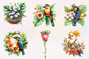 Tropical Bird Png, Jungle Bird Clipa, an Illustration by CreationArt (Thumbnail 2 of 9)