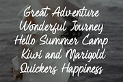 Basilk - Brush Handwritten Font, a Handwritten Font by Pekotype (Thumbnail 10 of 14)