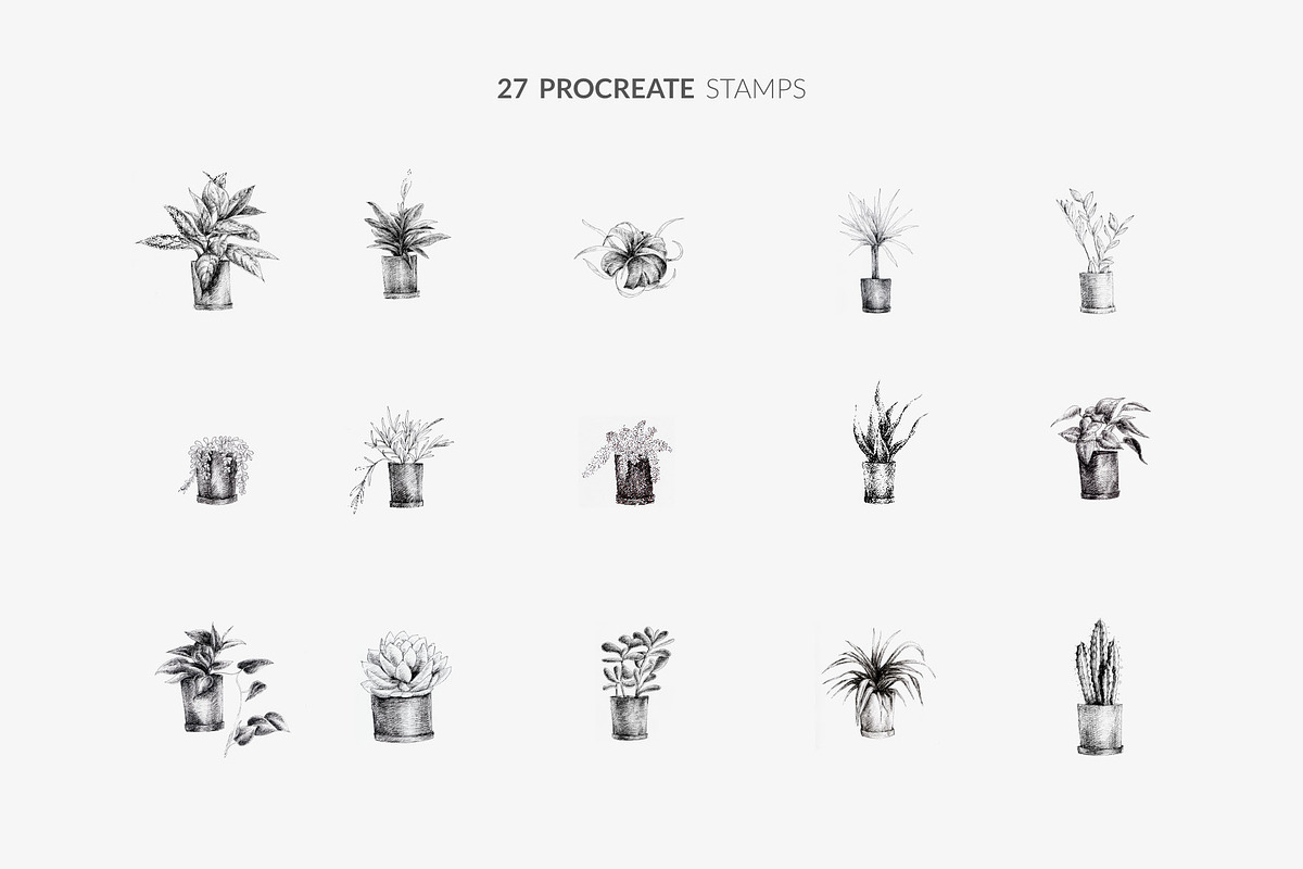 Procreate Brushes 27 Indoor plants, a Brush Add-On by Greek fonts by nantia.co (Photo 3 of 5)
