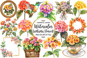 Watercolor Lantana Flower Clipart, an Illustration by OK Design (Thumbnail 1 of 5)