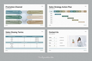 Sales Strategy Plan Presentation