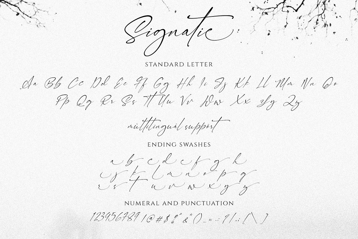 Signatie | Stylish Signature Font, a Script Font by BrandSemut (Photo 13 of 13)