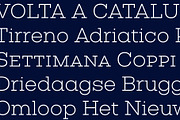 Vicky, a Serif Font by Letritas (Thumbnail 7 of 11)