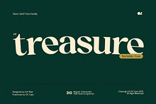 OV Treasure Retro Serif Font Family