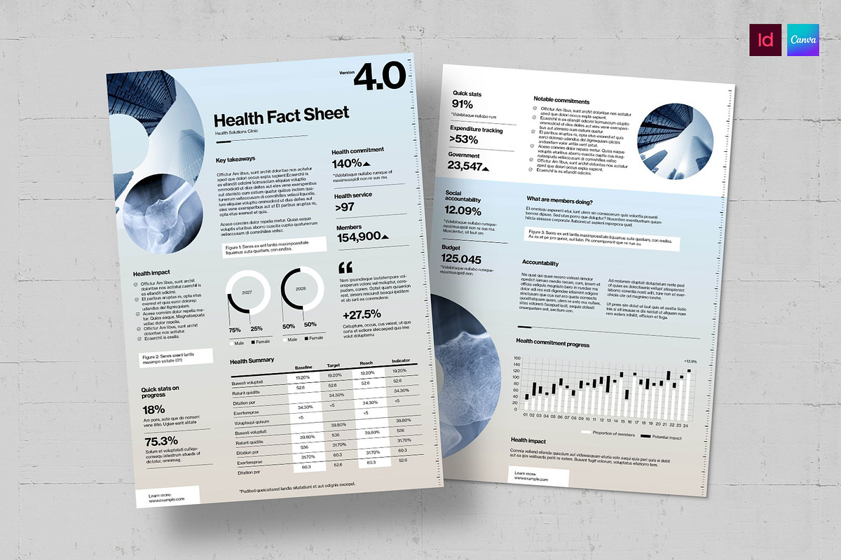 Factsheet Template, a Flyer Template by BrandPacks