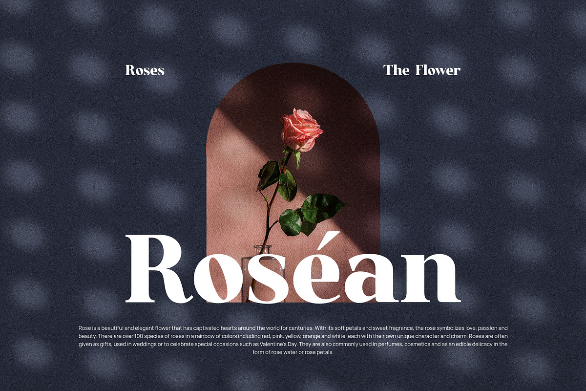 Karina Elegant Serif Font, a Serif Font by Graphicxell (Photo 8 of 10)