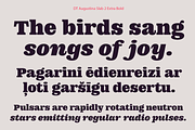 DT Augustina Slab 2 Subfamily, a Slab Serif Font by Deveze Type Foundry (Thumbnail 15 of 30)