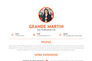 Indesign CV / Resume Template, a Resume Template by ARP Creation (Thumbnail 10 of 11)