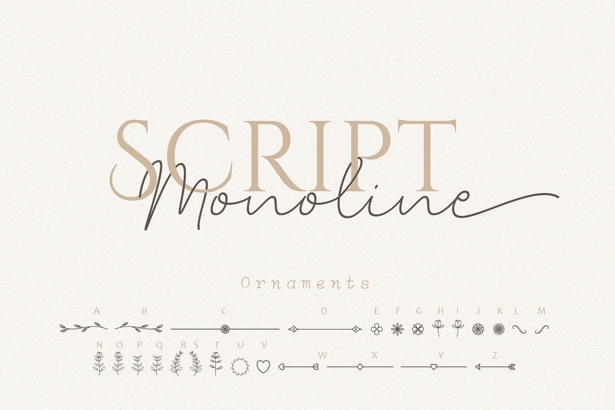 Clandia Monoline Script & Ornaments, a Script Font by Typebae (Photo 2 of 12)