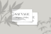 Hemp/Marijuana Shadows & MockUp, a Mockup by Jeanina Vlad (Thumbnail 6 of 17)