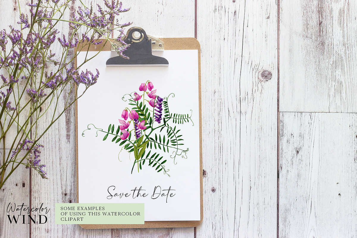 Wild floral clipart meadow flowers, an Illustration by Ksenia Shmakova (Photo 9 of 11)