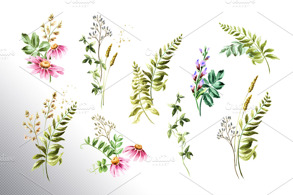 Wildflowers, a Decorative Illustration by Daria Ustiugova (Photo 2 of 14)