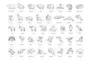Animal icons. Vector icon set, an Animal Illustration by Tettygreen (Thumbnail 3 of 3)