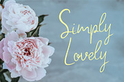 Scribly Almond Font Duo + Extras, a Script Font by Chimerique (Thumbnail 3 of 13)