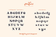 Matheo, a Serif Font by Burntilldead (Thumbnail 4 of 15)