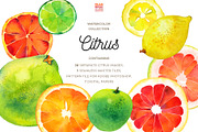 Watercolor Citrus Clipart Collection, a Food Illustration by Olga Begak Art & Design (Thumbnail 1 of 10)