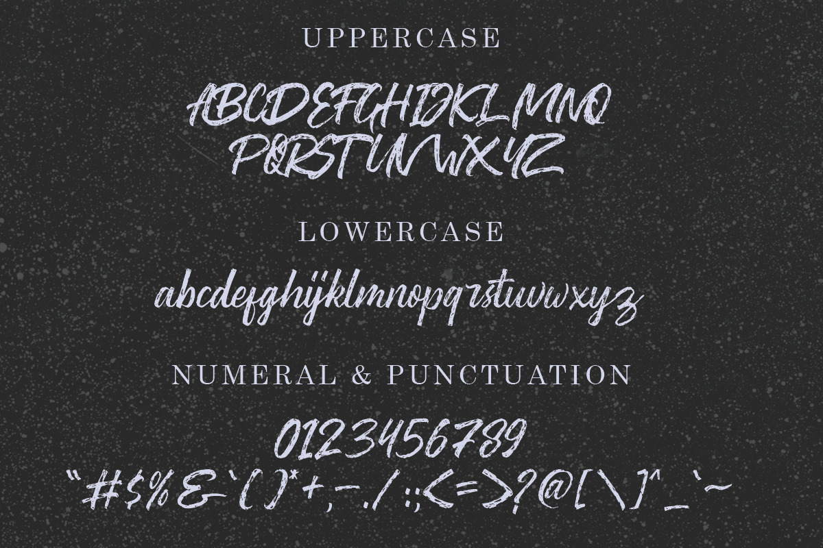Washington ~ Rough Script, a Script Font by Youthlabs Studio (Photo 10 of 13)