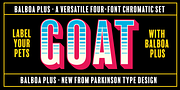 Balboa Plus, a Sans Serif Font by Parkinson Type Design (Thumbnail 5 of 8)