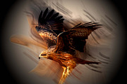 Long Exposure Effect Action, an Action Add-On by MRI STUDIO (Thumbnail 8 of 15)