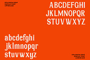 Epilonion - Serif Display Font, a Serif Font by Brainwaves.Studio (Thumbnail 2 of 11)