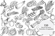 Vector vegetables, an Illustration by risovanya (Thumbnail 2 of 4)