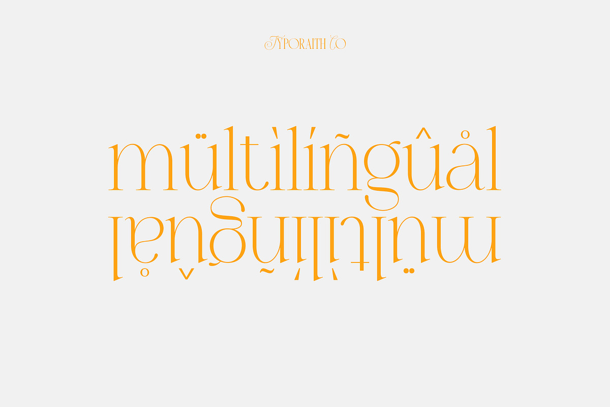 Brumer | Modern Elegant Serif, a Serif Font by Typoraith Co (Photo 10 of 10)