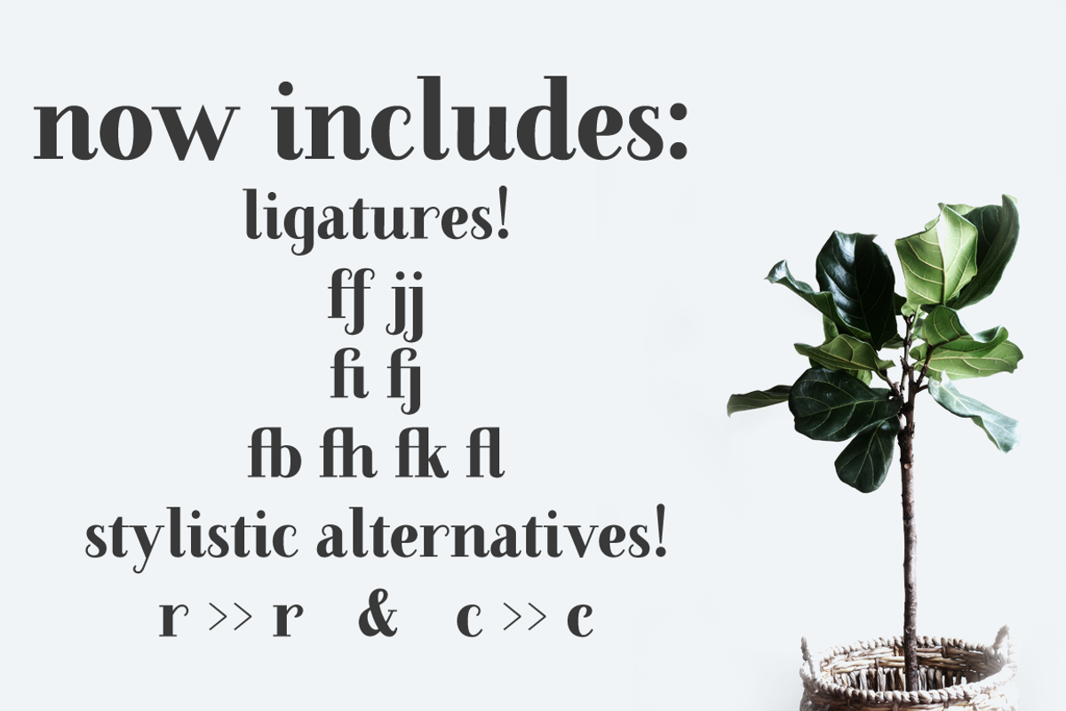 Farewell Angelina Display serif font preview 7