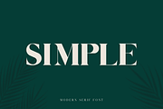 Tashik Modern Serif, a Serif Font by Maryamtype Studio (Thumbnail 5 of 7)