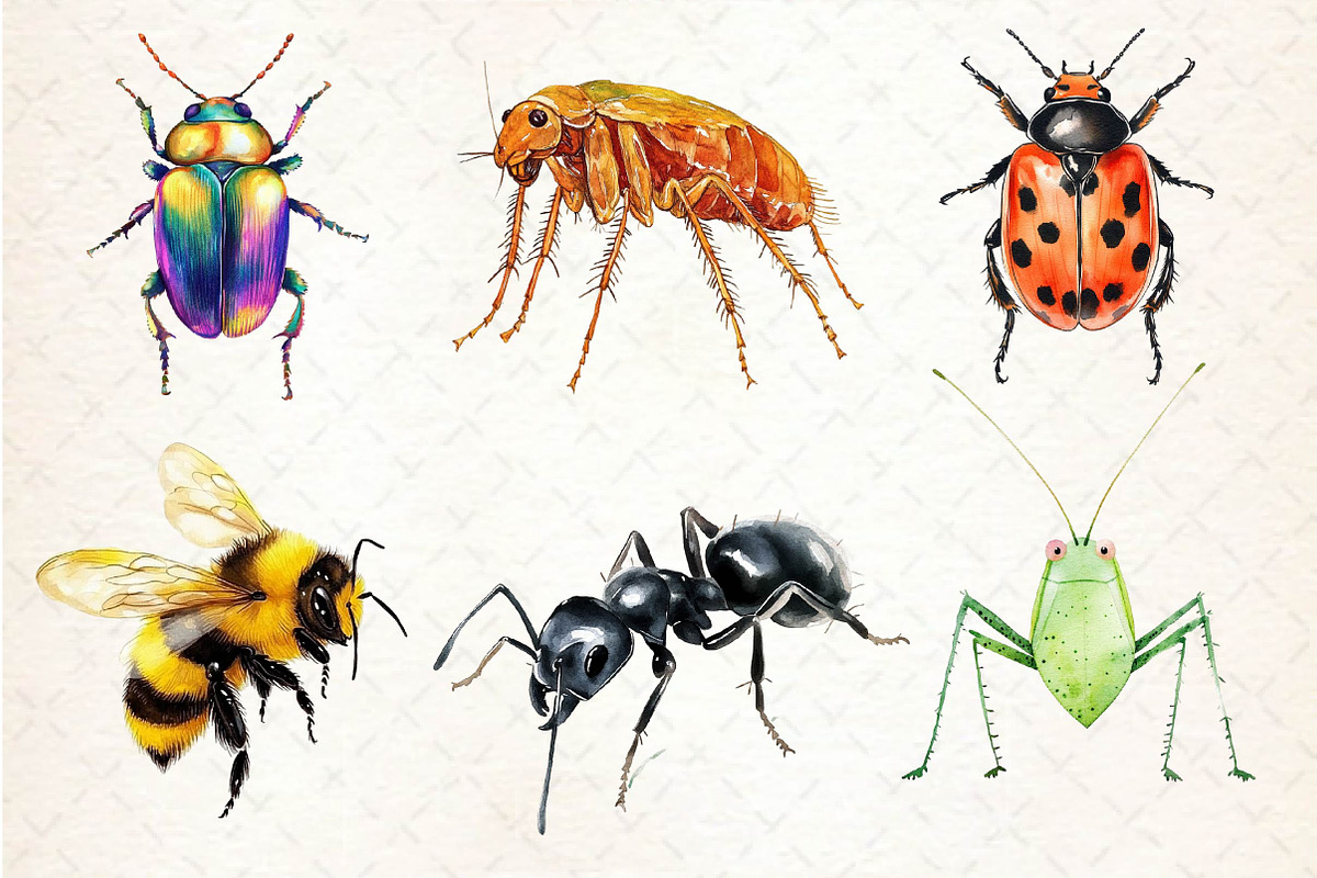 Watercolor Bugs Sublimation Clipart, an Illustration by Dream Creation (Photo 5 of 6)