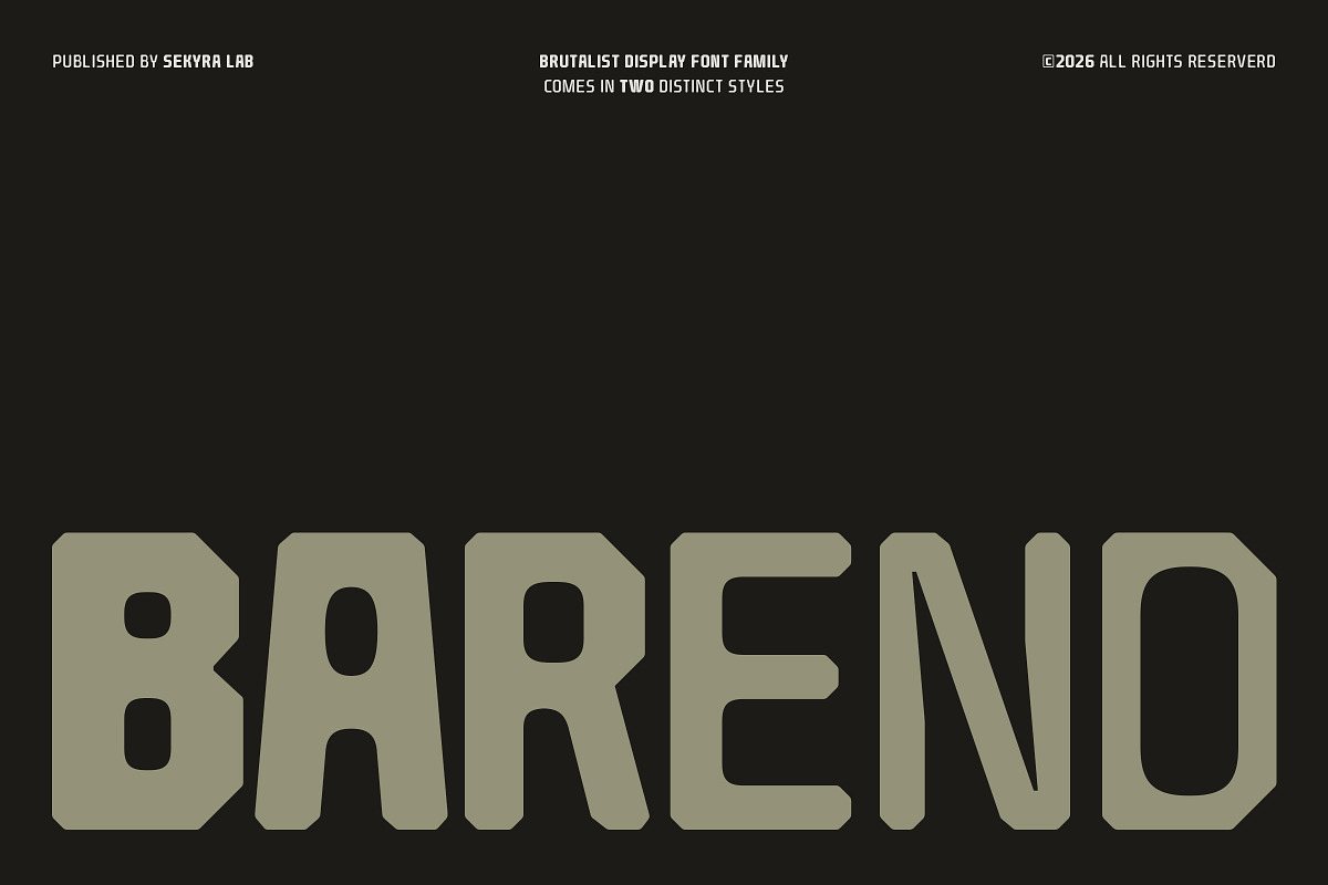 Barend - Brutalist Display Sans Font, a Sans Serif Font by Sekyra Lab (Photo 1 of 16)
