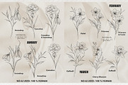 Birth flowers fine line (Half year), a Brush Add-On by CaraulanStore (Thumbnail 2 of 5)