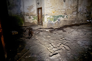 Abandoned room in dark underground shelter, an Architecture Photo by Vapi