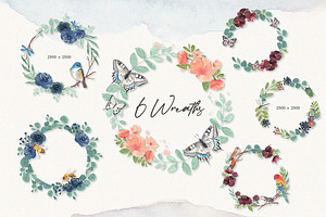 Insects & Birds Watercolor Set