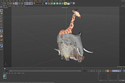 Animals 1, an Animal 3D Model by ithappy (Thumbnail 27 of 32)