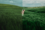 Grassland Lightroom Presets, an Action Add-On by FilterAtelier (Thumbnail 5 of 15)