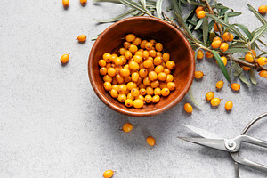 Sea buckthorn berries in bowl, harvesting healthy superfood, a Food & Drink Photo by Olena Rudo